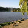 Lost Lagoon, Stanley Park