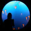 Vancouver Aquarium Marine Science Centre