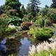 Queen Elisabeth Park, Vancouver