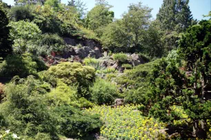 Rock garden, Queen Elisabeth Park, Vancouver, British Columbia