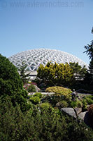 Queen Elisabeth Park, Vancouver, BC