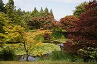 VanDusen Botanical Garden, Vancouver