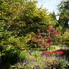 VanDusen Botanical Garden