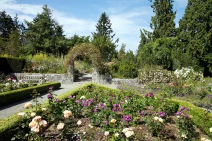 Rose garden in the VanDusen Botanical Garden, Vancouver