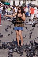 Pigeons at St Mark's Square, Venice