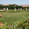 Lawn in the Belvedere garden