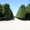 Hedge-lined path, Sch�nbrunn