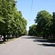 Prater, Vienna