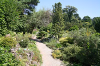 Alpengarten, Wien