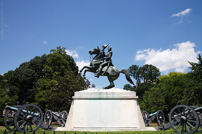 andrew jackson andrew jackson