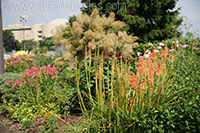 Bartholdi Park, Washington DC