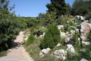 Rock Garden at the Botanical Gardens in Barcelona