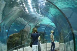 Aquarium at Port Vell in Barcelona