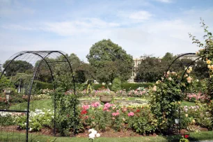 Rose Garden, Back Bay Fens, Boston