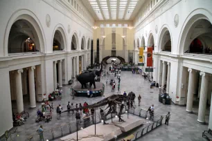 Main hall of the Field Museum in Chicago