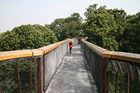Treetop Walkway, Kew Gardens, London