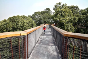 Treetop Walkway, Kew Gardens, London