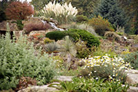 Rock Garden, Kew Gardens, London