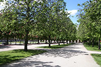 Hofgarten