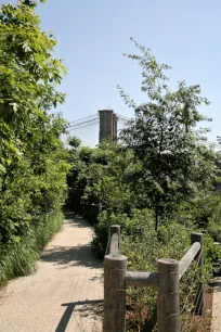 Brooklyn Bridge Park, Brooklyn Heights, New York City