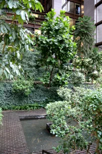 Garden in the atrium of the Ford Foundation Building