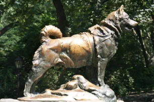 Balto statue, Central Park, New York City