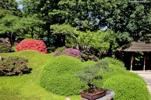 Japanese Garden in Troja, Prague