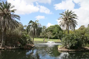 Main Pond, Royal Botanic Gardens, Sydney